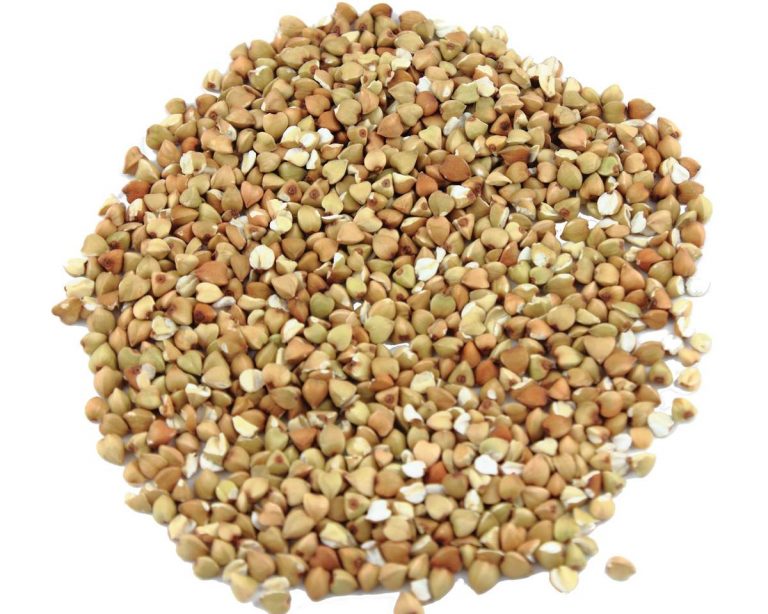 Buckwheat Groats 4lb MinnDak Growers, Ltd.