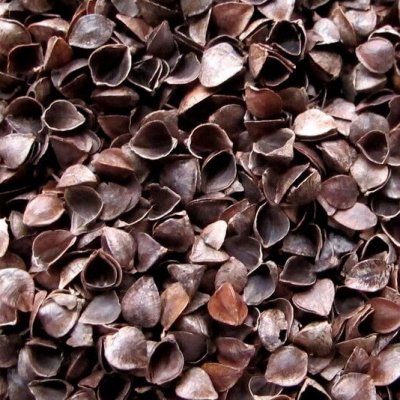 Buckwheat Hulls